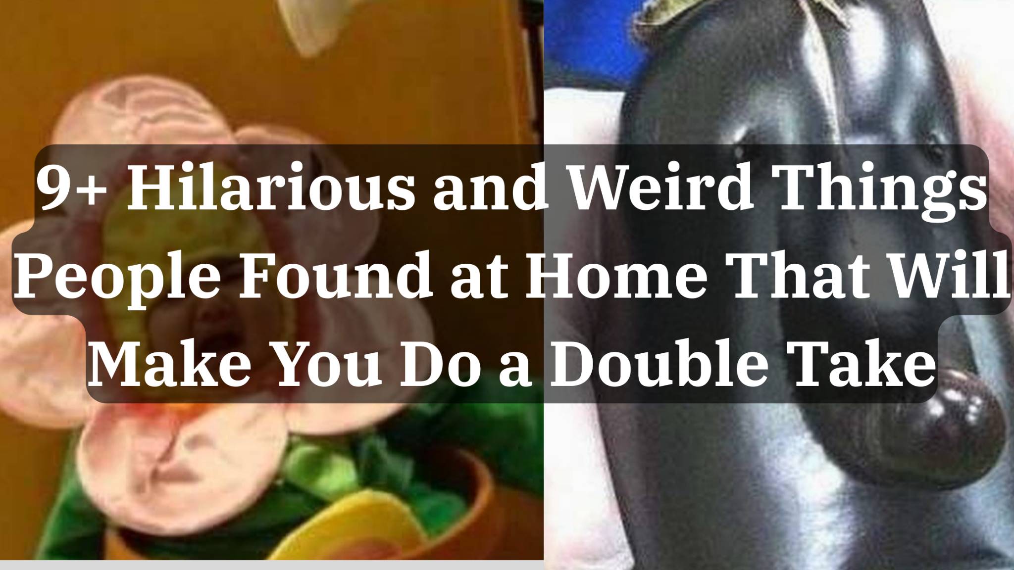 9+ Hilarious and Weird Things People Found at Home That Will Make You Do a Double Take