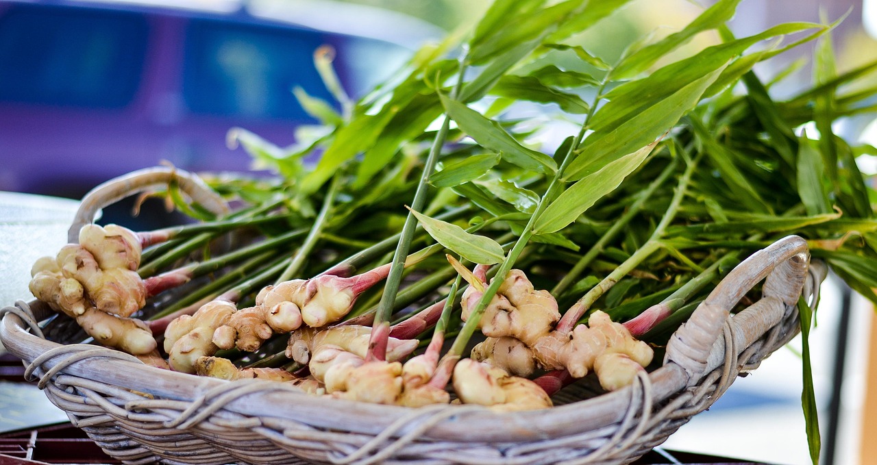 Grow your own Organic Ginger at Home (Even in Small Spaces!)