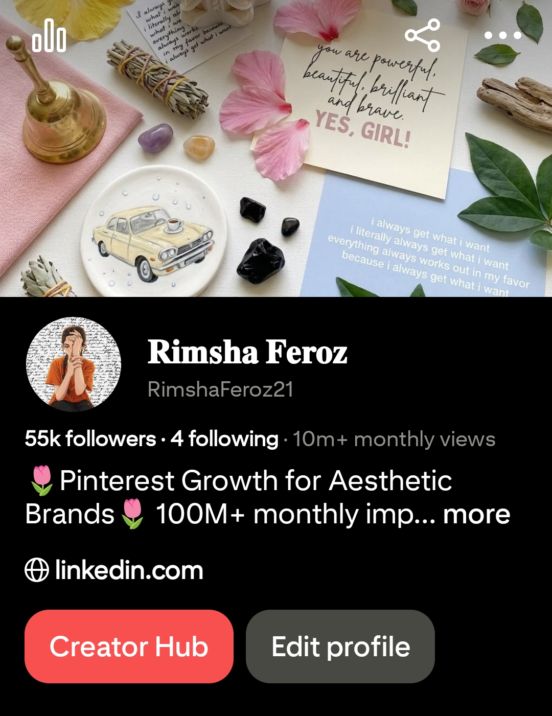 Rimsha Feroz Pinterest profile 55k followers 100 million monthly impressions